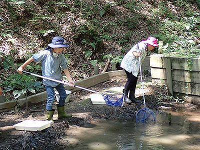 写真:池に網をいれて泥や落ち葉をすくう参加者