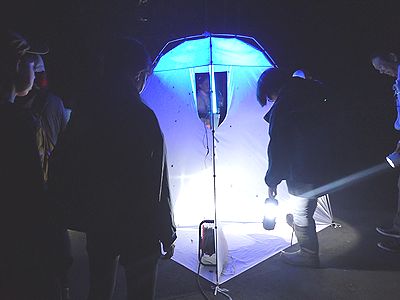 写真:テント方のライトトラップを観察する参加者