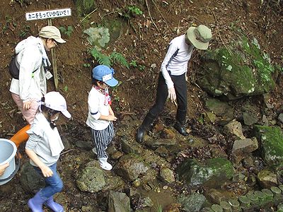 写真:サワガニの沢でサワガニを探す子供たち