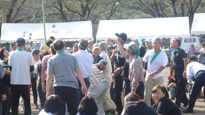 写真:体育祭風景