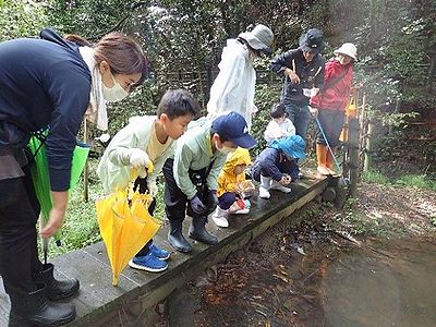 写真:池の中をのぞく参加者たち