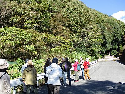 写真:駐車場から雑木林を観察しながら歩く参加者たち