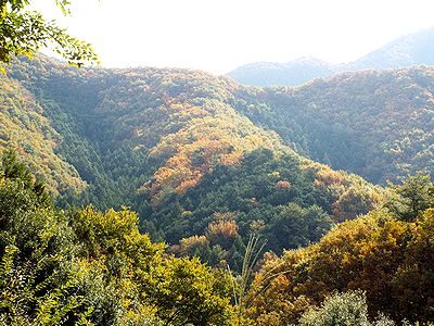 写真:緑、オレンジ、黄色の錦模様になった山肌