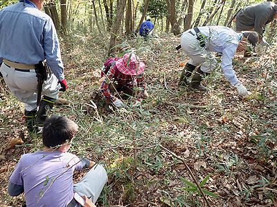 写真:雑木林で笹を切り取る参加者たち
