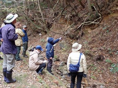 写真:地層の見える崖で説明を聞く参加者たち