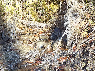 写真:高さ2メートルある水の流れ口が凍って光っている様子