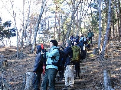 写真:木の階段に並んで立ち、景色を眺める参加者たち