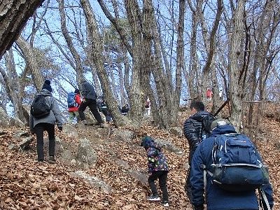 写真：落ち葉の積もる山道を歩く参加者たち