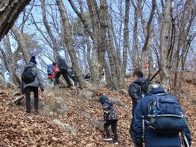写真:落ち葉の積もる山道を歩く参加者たち