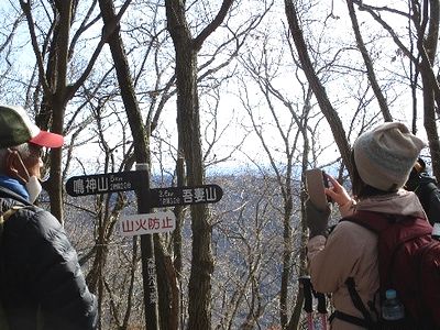 写真：道標のたつ山頂で、木々の間から写真を撮る参加者