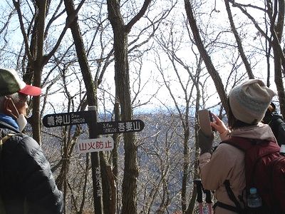 写真:道標のたつ山頂で、木々の間から写真を撮る参加者