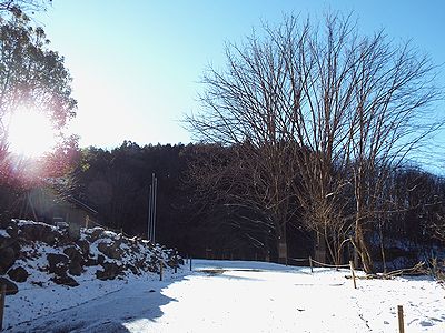 写真：雪で一面真っ白なネイチャーセンター前とハンミョウ広場