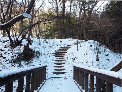 写真:日陰のオオムラサキの森の橋と階段は雪が厚く積もっている