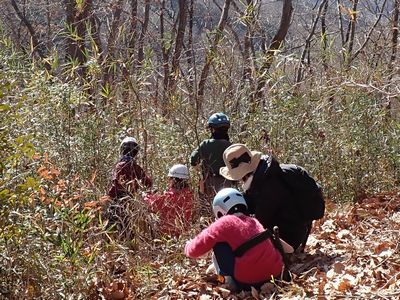 写真:剪定バサミで笹や枯れたノイチゴの枝を切る親子