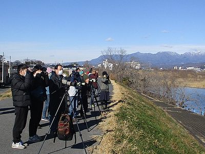 写真：土手の上から野鳥観察をする参加者たち