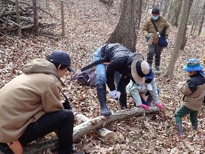 写真：両側の人が木を押さえ真ん中の人がのこぎりで切っている