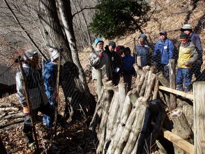 写真:森の中に設けられた管理地の見学