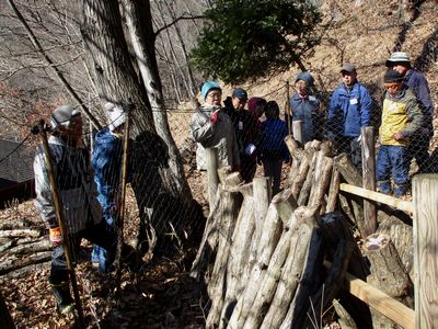 写真：森の中に設けられた管理地の見学