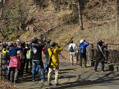 写真:入口周辺で斜面林を行き来する野鳥を観察する参加者