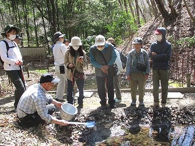 写真：カエルの卵塊やオタマジャクシを池からすくって見せる指導員