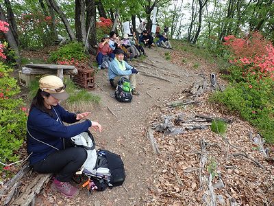 写真:山頂でヤマツツジを見ながら昼食をとる参加者たち