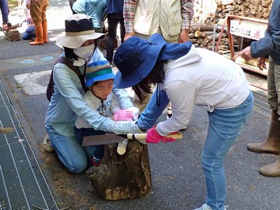 写真:台の上の丸太を保護者が手で押さえ、子供が足で押さえながら切っている