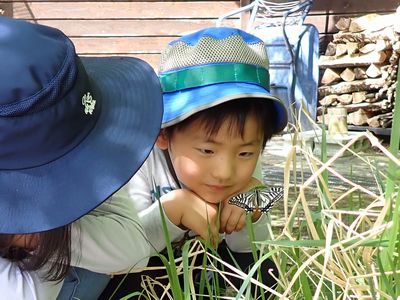 写真:草むらで翅をのばすチョウに見入る子どもたち