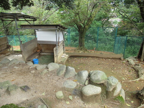 ホンシュウジカの放飼場の写真