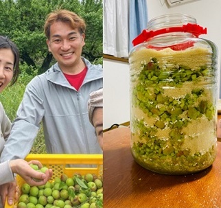 写真：収穫した梅を持つ大畠隊員と漬け込んだ梅