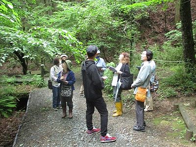 写真：木陰で自然観察をする参加者たち
