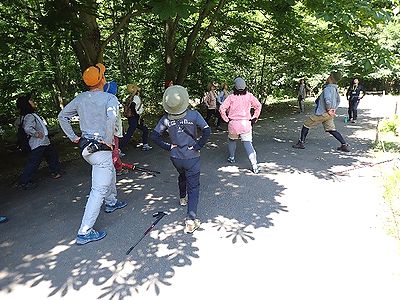 写真:トチノキの木陰でストレッチをする参加者