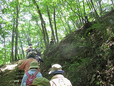 写真:木陰の園路を歩く参加者