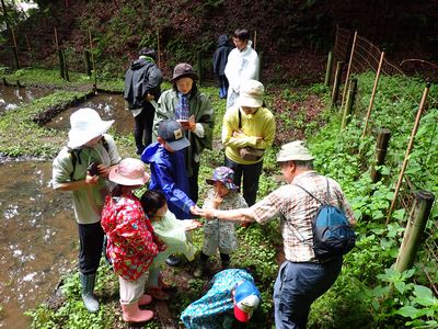 写真:田んぼのあぜで何かを見つけ、見せ合う講師と参加者たち