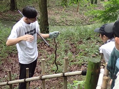 写真:苑内で捕まえたヘビの頭を持って参加者に説明する講師