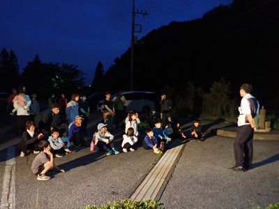 写真：落ち葉から生えるハナオチバタケ