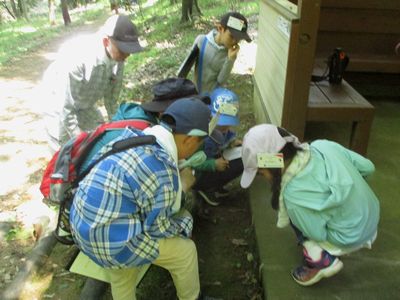 写真:誰かが見つけた生きものをみんなが輪になって観察している様子
