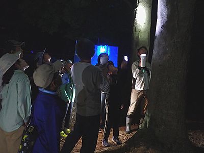 写真:真っ暗な森で懐中電灯の明かりを頼りに木の上部を見る参加者たち