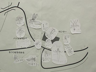 写真:1班の作成したマップ、A2版の地図にいろいろな生きもののスケッチが貼られている