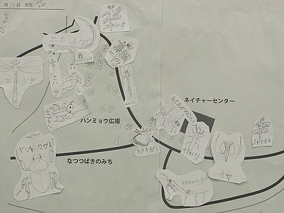 写真:2班の作成したマップ、A2版の地図にいろいろな生きもののスケッチが貼られている