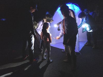 写真:灯りに寄ってきた虫を観察する参加者たち