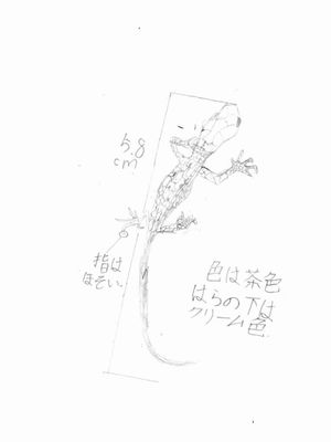 写真:鱗や脚の特徴が丁寧に描かれたニホンカナヘビ