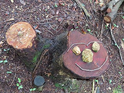 写真：木の切り株に、小枝と石が置かれてニコニコ顔が作られている