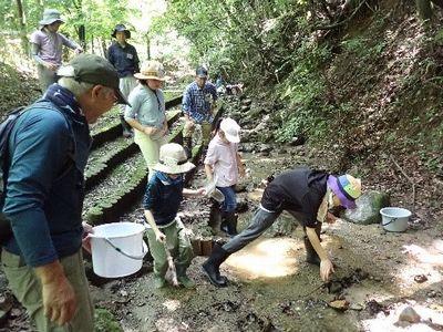写真:涼しい沢で生き物探し