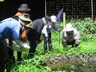 写真:池を覗きこむ参加者たち