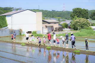 写真：田植え1