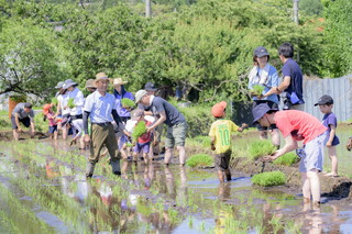 写真：田植え4