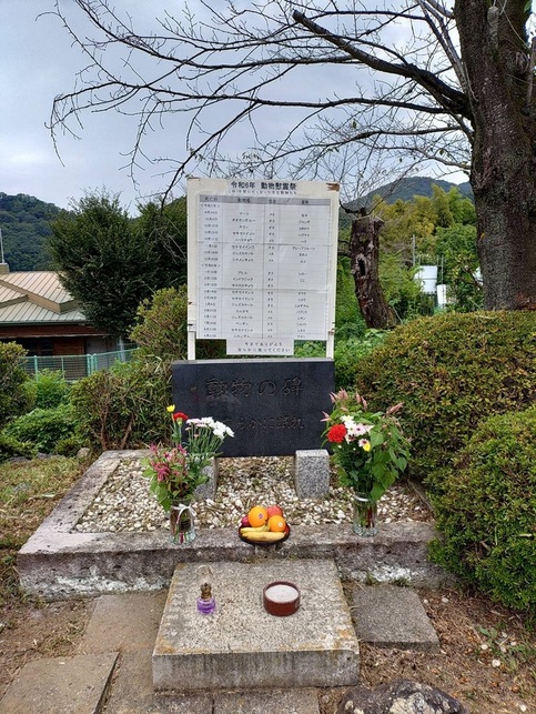 この一年に死亡した動物リスト