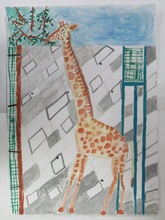 写真：動物園賞の作品
