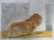 写真：動物園賞の作品