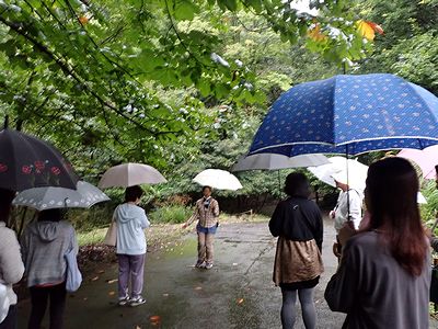 写真:傘をさして雨の日ならではの景色を楽しむ参加者たち